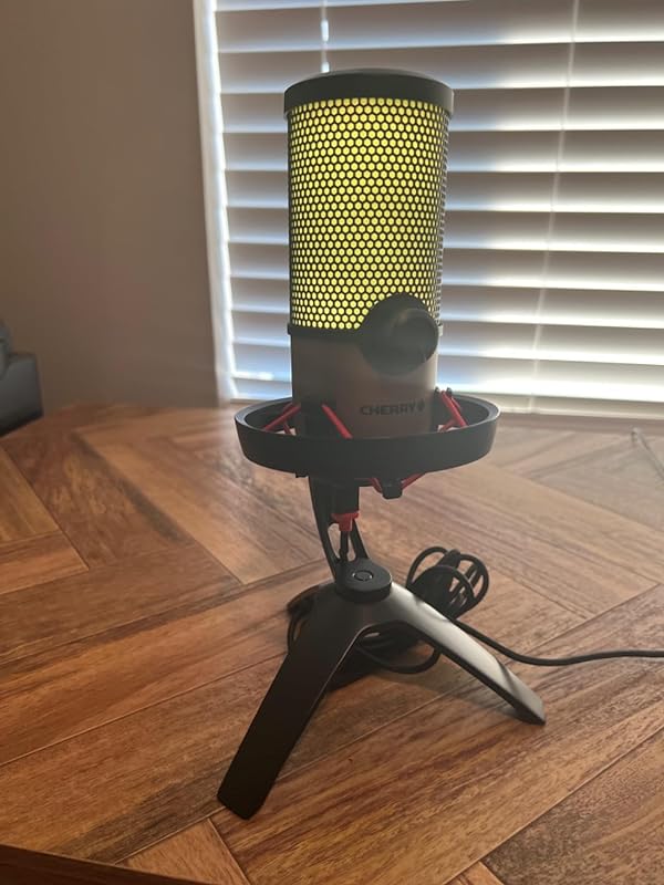 microphone professional 1